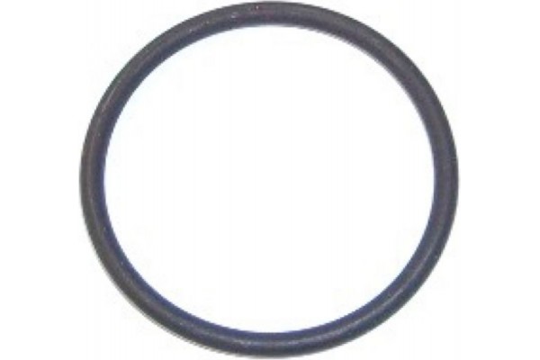 Elring Τσιμούχα, Πολλαπλή Εισαγωγής - 725.400