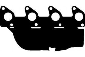 Elring Τσιμούχα, Πολλαπλή Εξαγωγή - 299.670