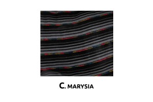 Καλυμματα Σετ Βελουδα C