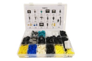 Κουμπώματα Ταπετσαρίας Αυτοκινήτου (17 Διαφορετικά Σχέδια) 730 Τεμάχια