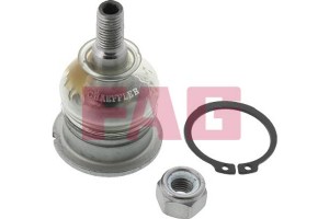 Fag Άρθρωση Υποστήριξης - 825 0037 10