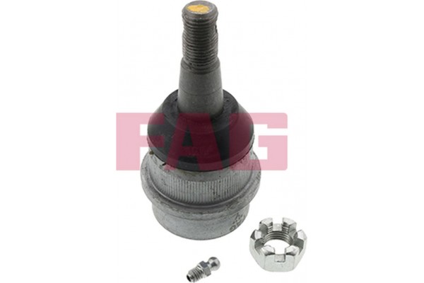 Fag Άρθρωση Υποστήριξης - 825 0088 10