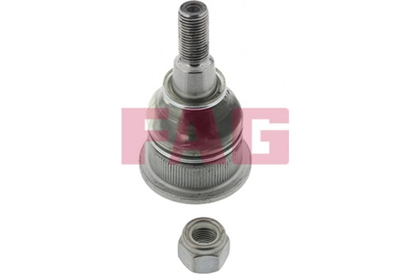 Fag Άρθρωση Υποστήριξης - 825 0164 10