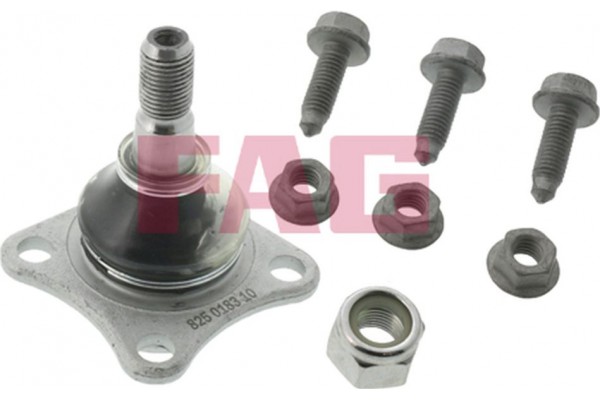 Fag Άρθρωση Υποστήριξης - 825 0183 10 Fag Άρθρωση Υποστήριξης - 825 0183 10