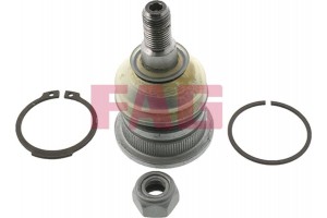 Fag Άρθρωση Υποστήριξης - 825 0251 10