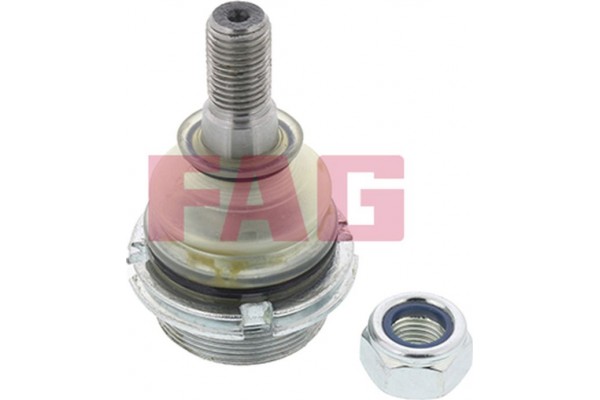 Fag Άρθρωση Υποστήριξης - 825 0256 10