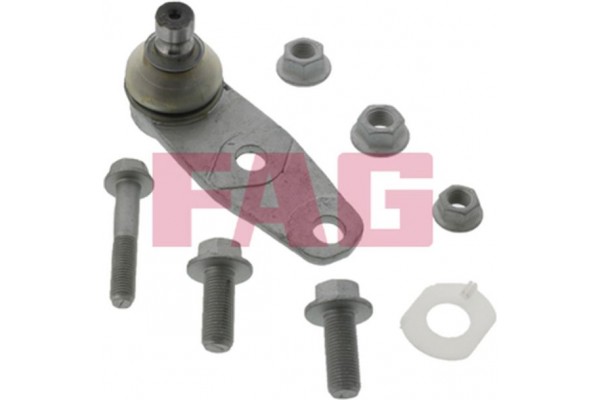 Fag Άρθρωση Υποστήριξης - 825 0258 10