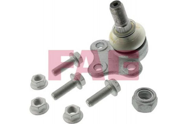 Fag Άρθρωση Υποστήριξης - 825 0260 10