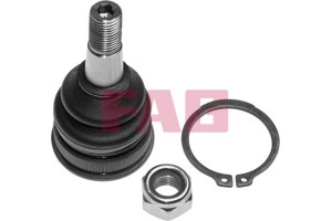 Fag Άρθρωση Υποστήριξης - 825 0306 10