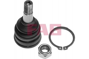 Fag Άρθρωση Υποστήριξης - 825 0306 10