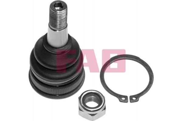 Fag Άρθρωση Υποστήριξης - 825 0306 10