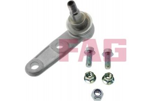 Fag Άρθρωση Υποστήριξης - 825 0307 10