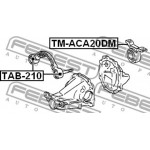 Febest Έδραση, Διαφορικό - TM-ACA20DM