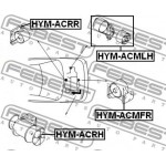 Febest Έδραση, Κινητήρας - HYM-ACMFR