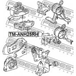 Febest Έδραση, Κινητήρας - TM-ANH25RH