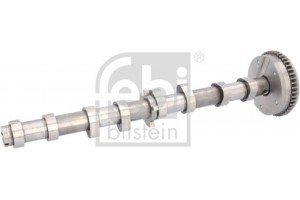 Febi Bilstein Εκκεντροφόρος Άξονας - 175291