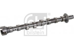 Febi Bilstein Εκκεντροφόρος Άξονας - 176294
