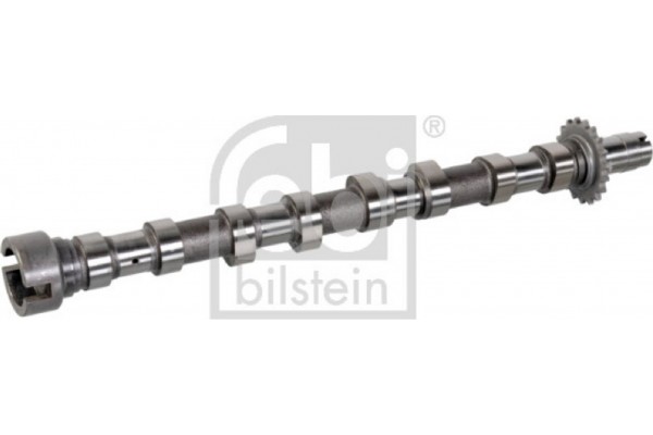 Febi Bilstein Εκκεντροφόρος Άξονας - 176294