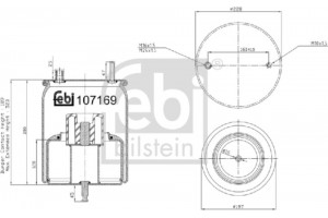 Febi Bilstein Φούσκα, Πνευματική Ανάρτηση - 107169