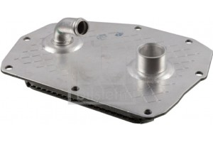 Febi Bilstein Ψυγείο λαδιού, Λάδι Κινητήρα - 101022