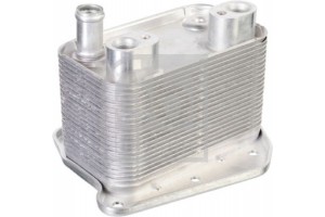 Febi Bilstein Ψυγείο λαδιού, Λάδι Κινητήρα - 109229