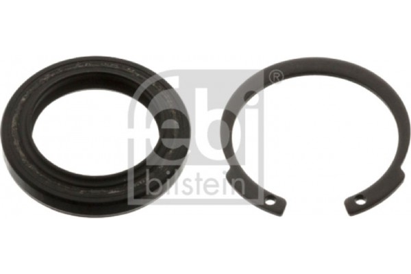 Febi Bilstein Σετ στεγανοποίησης, Πυξίδα Διεύθυνσης - 44527