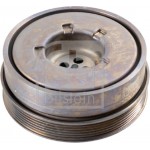 Febi Bilstein Τροχαλία ιμάντα, Στροφαλοφόρος Άξονας - 173069