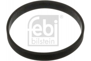 Febi Bilstein Τσιμούχα, Περίβλημα Πολλαπλής Εισαγωγής - 100871