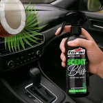 Αρωματικό Χώρου Tropical Forest Feral Detailing Pro 500ml 1 Τεμάχιο