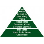 Αρωματικό Αυτοκινήτου Κρεμαστό Feral Classic Collection Nature 1 Τεμάχιο Αρωματικό Αυτοκινήτου Κρεμαστό Feral Classic Collection Nature 1 Τεμάχιο