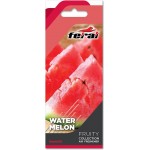 Αρωματικό Αυτοκινήτου Κρεμαστό Feral Fruity Collection Watermelon 1 Τεμάχιο Αρωματικό Αυτοκινήτου Κρεμαστό Feral Fruity Collection Watermelon 1 Τεμάχιο