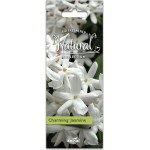 Αρωματικό Αυτοκινήτου Κρεμαστό Feral Natural Collection Jasmine 1 Τεμάχιο Αρωματικό Αυτοκινήτου Κρεμαστό Feral Natural Collection Jasmine 1 Τεμάχιο