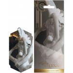 Αρωματικό Αυτοκινήτου Κρεμαστό Feral Eternal Myths Collection Eros 1 Τεμάχιο Αρωματικό Αυτοκινήτου Κρεμαστό Feral Eternal Myths Collection Eros 1 Τεμάχιο