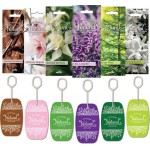 Σετ Αρωματικών Αυτοκινήτου Feral Natural Collection 6 Τεμάχια Σετ Αρωματικών Αυτοκινήτου Feral Natural Collection 6 Τεμάχια