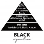 Αρωματικό Αυτοκινήτου Κρεμαστό Feral Basics Collection Black Signature 1 Τεμάχιο