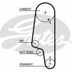 Gates Αντλία Νερού + Σετ Οδοντωτού Ιμάντα - KP15428XS