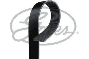 Gates Ιμάντας poly-V - 10PK1135HD