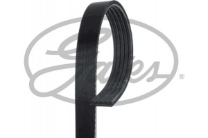 Gates Ιμάντας poly-V - 5PK1236SF