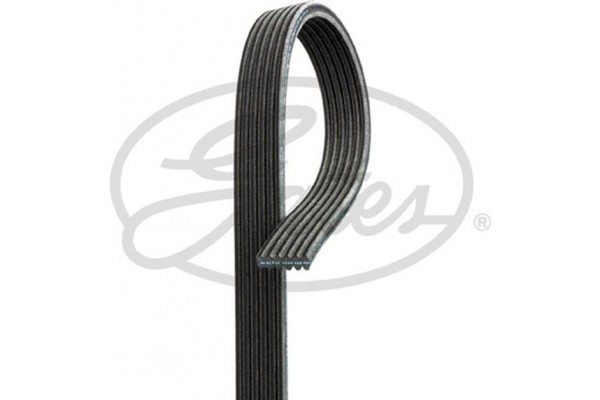 Gates Ιμάντας poly-V - 6DPK1195