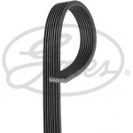 Gates Ιμάντας poly-V - 8DPK1445 Gates Ιμάντας poly-V - 8DPK1445