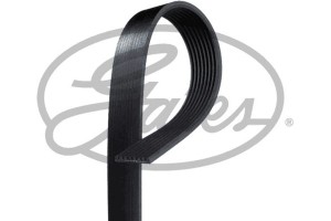 Gates Ιμάντας poly-V - 8PK1600HD