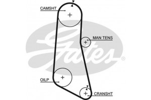 Gates Οδοντωτός Ιμάντας - 5185