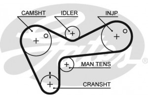 Gates Οδοντωτός Ιμάντας - 5306