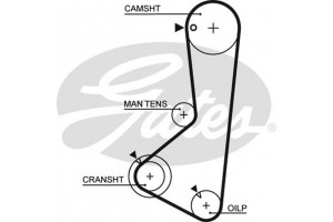 Gates Οδοντωτός Ιμάντας - 5372XS