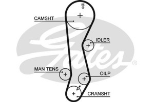Gates Οδοντωτός Ιμάντας - 5389XS