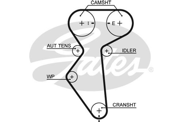 Gates Οδοντωτός Ιμάντας - 5419XS