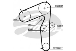 Gates Οδοντωτός Ιμάντας - 5462XS