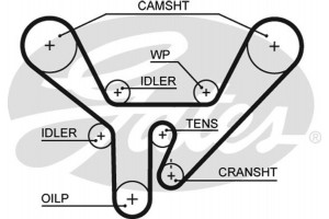 Gates Οδοντωτός Ιμάντας - 5518XS