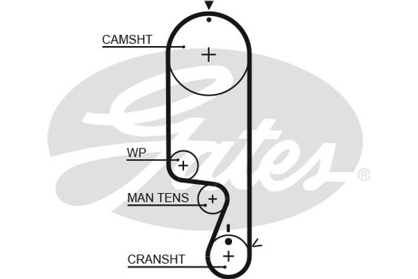 Gates Οδοντωτός Ιμάντας - 5535XS