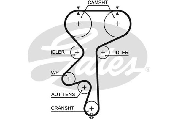 Gates Οδοντωτός Ιμάντας - 5542XS